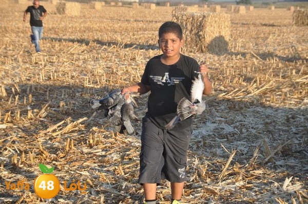 7amam lud monir 908 (48).JPG